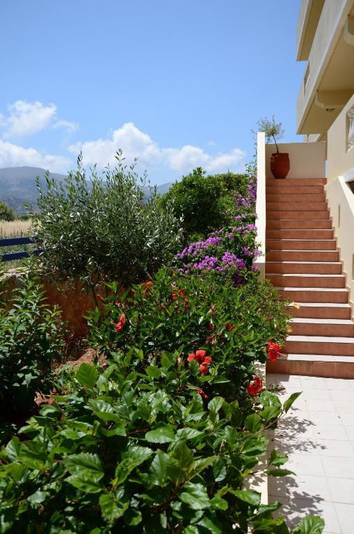 Cretan Family Apartments Малиа Екстериор снимка